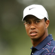 Illustration for article titled Tiger Woods: Im Human And Im Not Perfect.